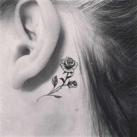 Rose Behind Ear, Rose Tattoo Behind Ear, Tattoo Behind Ear, The Ear, Rose Tattoo, Ear Tattoo, A Flower, Flower Tattoo, White