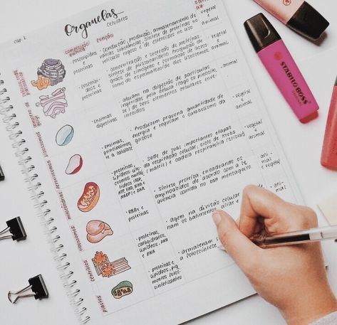 Cute biology notes on organisms; #studygram #studyblr Handwriting Aesthetic, Studying Biology, Post Novo, Studie Hacks, Organizator Grafic, Note Taking Tips, College Notes, Aesthetic Notes, Nursing School Notes