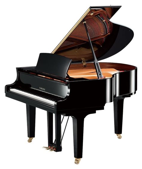 Yamaha Grand Piano, Yamaha Piano, Piano Shop, Music Desk, Baby Grand Piano, Blithe Spirit, Grand Pianos, Best Piano, Free Piano