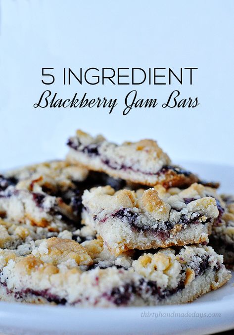 Super delicious and only 5 ingredients- these Blackberry Jam Bars are so simple to make! | Thirty Handmade Days Blueberry Crumb Bars, Fake Ginger, Jam Bars, Crumb Bars, Coconut Dessert, Brownie Desserts, Blackberry Jam, Berries Recipes, Oreo Dessert