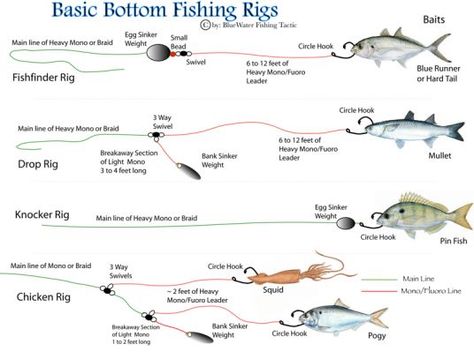 Essential Bottom Fishing Rigs – A Comprehensive Guide on http://miamifishing.com/fishing-reports/essential-bottom-fishing-rigs-comprehensive-guide Bottom Fishing Rigs, Bottom Fishing, Catfish Fishing, Salt Water Fishing, Surf Fishing, Fishing Rigs, Fishing Techniques, Fishing Knots, Fishing Guide