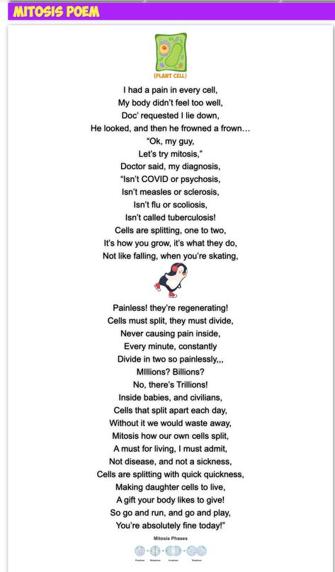 Mr. R.'s fun science poem to help teach about mitosis! Science Poems, Teacher Poems, Science Board, Plant And Animal Cells, Science Boards, Biology Teacher, Animal Cell, Poems About Life, Science Topics