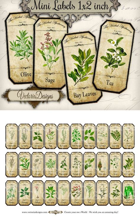 Mini Herbal Apothecary Labels, Spice Jar Labels, Herb LabelsMini Herbal Apothecary Labels - a collection of 30 different herbal bottle and jar labels for your kitchen - these would look great on test tubes.What you actually want to know:° 30 high quality (300 dpi) labels (2 x 1 inch) on 1 JPG 8.5 Herb Labels, Herbs List, Sage Tea, Apothecary Labels, Potion Labels, Spice Jar Labels, Etiquette Vintage, Spice Labels, Junk Journal Ephemera