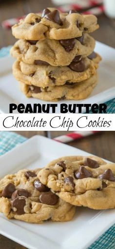 Almond Flour Peanut Butter Chocolate Chip Cookies, Chew Peanut Butter Cookies, Cho Chip Peanut Butter Cookies, Pb Chip Cookies, Easy Pb Cookies, Dark Chocolate Peanut Butter Cookies, Chocolate Pb Cookies, Dessert Recipes With Peanut Butter, Peanut Butter Cookies With Choc Chips