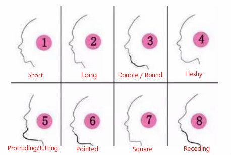 Chin Shapes, Chinese Face Reading, Chiseled Jaw, Nose Types, Type Chart, Shape Chart, Anatomy References, Wide Nose, Different Personalities