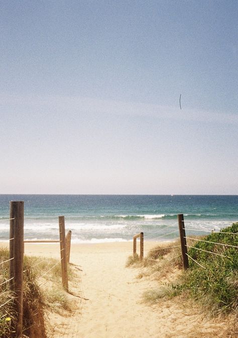 #disposable #film #summer #beach #spring #aesthetic #waves #surfing Beach On Film Aesthetic, Old Beach Aesthetic, Beach Film Aesthetic, 70s Beach Aesthetic, 90s Beach Aesthetic, Beach Vintage Aesthetic, Vintage Beach Aesthetic, Beach On Film, Summer On Film