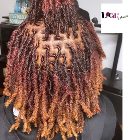 Multicolored Locs, Highlights On Locs, Dyed Dreadlocks, Loc Crown, Dread Ideas, Locs Ideas, Loc Colors, Loc Ideas, Loc Maintenance