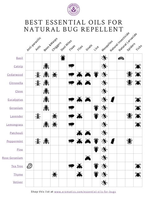 Insect Repellent Essential Oils, Diy Bug Spray, Bug Spray Recipe, Natural Bug Spray, Natural Bug Repellent, Essential Oil Safety, Lime Essential Oil, Cedarwood Oil, Lime Oil