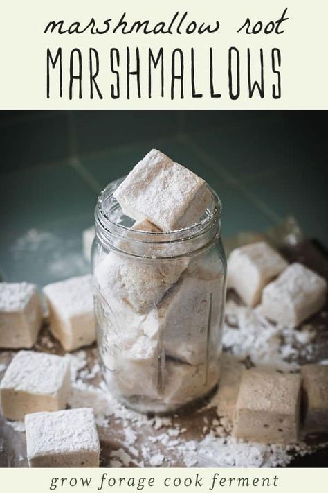 Marshmallow Recipe Without Corn Syrup, Marshmallow Root Powder, Pies Chocolate, Homemade Marshmallow Recipe, Marshmallow Recipe, Chocolate Tarts, Lemon Tarts, Salted Caramels, Homemade Marshmallow