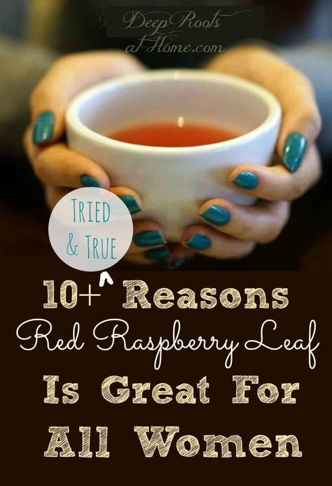 Raspberry Leaf Tea Benefits, Red Raspberry Tea, Raspberry Leaf Tea, Red Raspberry Leaf, Raspberry Leaf, Raspberry Tea, Healing Tea, Delicious Drink Recipes, Herbal Recipes