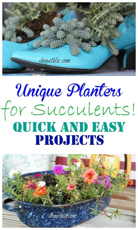 succulent planters shoes garden spring portulaca Backyard Furniture Diy, Landscaping Along Fence, Succulent Planter Diy, Building Raised Garden Beds, Beautiful Outdoor Living Spaces, Garden Display, Blue Building, Succulent Planters, Succulent Garden Diy