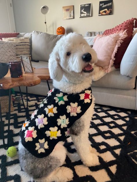 Crochet Animal Sweater Pattern, Granny Square Pet Sweater, Crochet Granny Square Dog Sweater Free Pattern, Matching Dog And Owner Crochet, Pet Clothes Crochet, Granny Square Dog Coat, Granny Square Cat Sweater, Crochet Dog Sweater Granny Square, Dog Vest Crochet