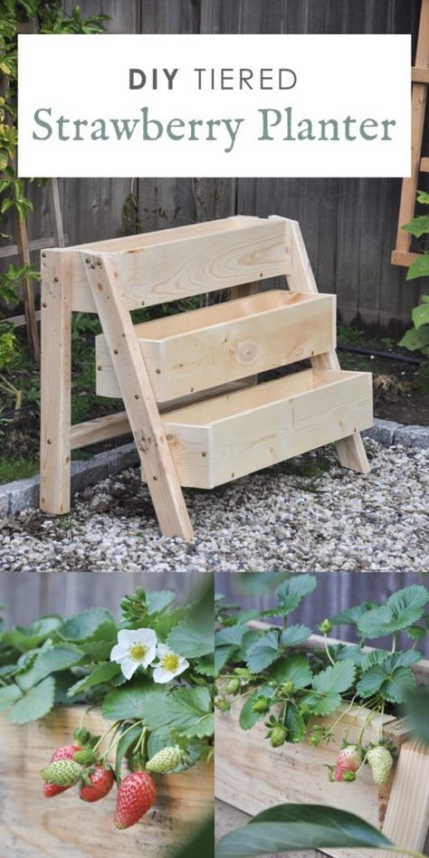 Tiered Strawberry Planter, Strawberry Planters Diy, Vertical Planter Box, Plantarea Legumelor, Garden Hydrangea, Strawberry Planter, Diy Planters Outdoor, Planters Diy, Strawberry Box