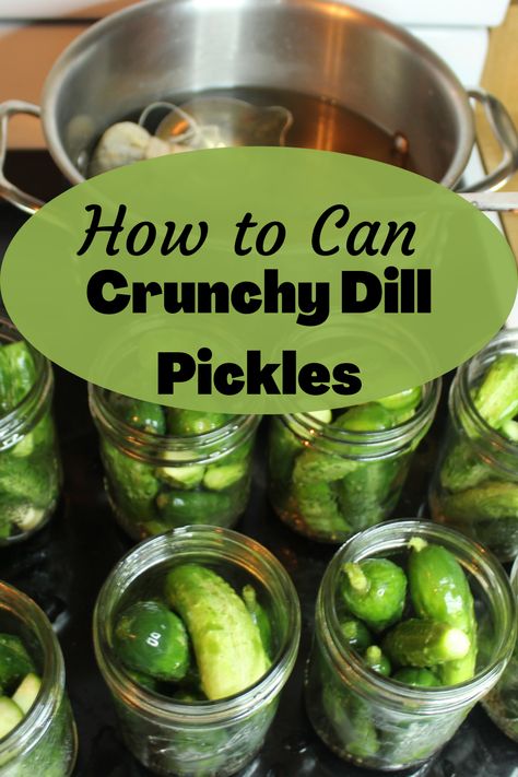 Crunchy Dill Pickle Recipe, Easy Dill Pickle Recipe, Crunchy Dill Pickles, Canning Pickles Recipe, Pickle Recipes Homemade, Dill Pickle Recipe, How To Make Pickles, Canning Pickles, Home Canning Recipes