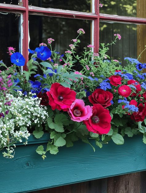 Window Box Ideas: Colorful Flower Box with Red Frames Red Geranium Window Boxes, Colorful Window Boxes, Window Box Planting Ideas, Potted Geraniums Ideas, Flower Window Boxes Ideas, Planter Box Ideas Flowers, Flower Box Ideas Full Sun, Sunny Window Box Flowers, Window Flower Box Ideas Full Sun