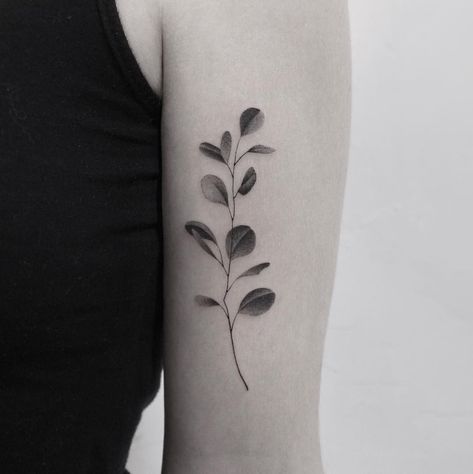 Eucalyptus Tattoo, Botanical Tattoo Design, First Time Tattoos, Minimal Tattoos, Leaf Tattoo, Mushroom Tattoos, Dotwork Tattoo, Vine Tattoos, Inspiration Tattoos