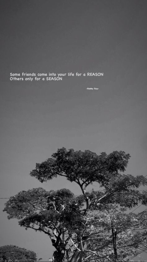 Friends For A Reason Season Lifetime, Friends For A Season Quotes, Season Quotes, Really Good Quotes, Some Friends, We Are Together, Friends Are Like, Reminder Quotes, Cozy Room