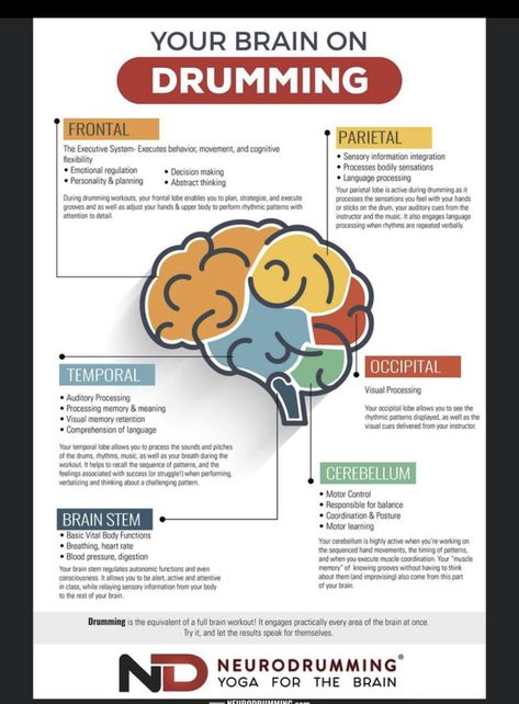 Music Therapy Activities, Music And The Brain, Creative Arts Therapy, Brain Facts, Sensory Integration, Brain Science, Art Therapy Activities, Behavioral Health, Emotional Regulation