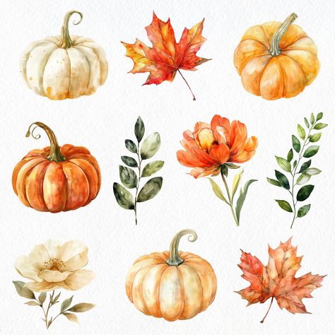 Fall Watercolor Clipart, Fall Watercolor Inspiration, Illustration Stickers Graphics, Autumn Watercolor Illustration, Fall Flowers Drawing, Autumn Flowers Drawing, Watercolor Fall Paintings, Fall Flowers Painting, Watercolour Pumpkin