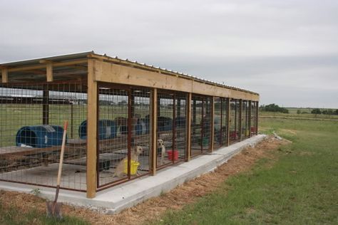 Note: Much like existing kennel, Don't like no cover from weather, etc. Otherwise a simple, neat configuration. Dog kennels - TexasBowhunter.com Community Discussion Forums Farm Dog Kennel Ideas, Dog Kennel Building, Hog Fence, Dog Kennel Ideas Outdoor, Dog Kennel With Run, Concrete Dog Kennel, Nice Outdoor Dog Kennels, Kennel Design, Building A Dog Kennel