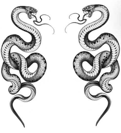 215+ King Cobra Tattoo Ideas (2023) - TattoosBoyGirl King Cobra Tattoo, Rosen Tattoo Frau, Realistisches Tattoo, Cobra Tattoo, Bauch Tattoos, Snake Tattoo Design, Tato Lengan, Medusa Tattoo, 강아지 그림