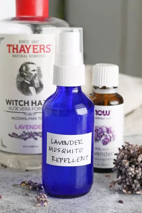 Homemade Pre-Emergent Weed Killer Lavender Bug Repellent, Diy Natural Mosquito Repellent, Lavender Mosquito Repellent, Essential Oils For Mosquitoes, Homemade Mosquito Spray, Homemade Mosquito Repellent, Mosquito Repellent Essential Oils, Repellent Diy, Mosquito Repellent Homemade