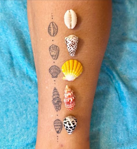 Anemone Tattoo, Small Beach Tattoos, Beachy Tattoos, Shell Tattoo, Earthy Tattoos, Sea Treasure, Seashell Tattoos, Shell Tattoos, Cute Tiny Tattoos