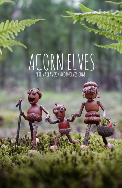 Acorn Elves / Dubanci: Designs & Collections on Zazzle Acorn People, Forest Crafts, Pine Cone Art, Acorn Crafts, Fairy Furniture, Fairy Crafts, Woodland Fairy, Program Ideas, Wood Creations