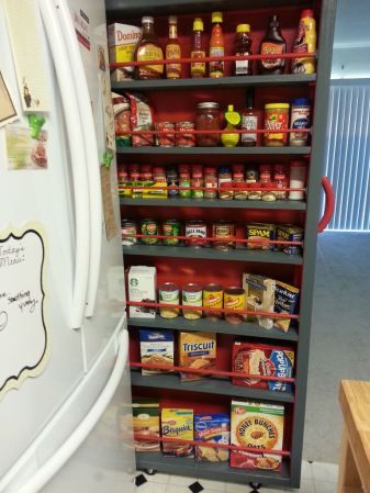 Love this!  The landlords just installed one in their home and it is FAB!  Now, if they'd just put one in mine.  :) Rolling Pantry, Slide Out Pantry, Pull Out Pantry, Tall Shelves, Declutter Kitchen, Crazy House, Diy Kitchen Storage, Small Space Kitchen, Empty Spaces