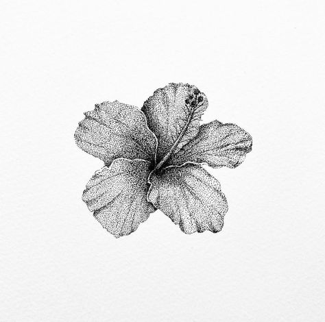 stippling hibiscus flower botanical illustration. Deathcore Tattoo, Grinch Tattoo, Hibiscus Illustration, Auto Tattoo, Pointillism Tattoo, Hibiscus Flower Tattoos, Flash Ideas, Summer Diary, Hibiscus Tattoo