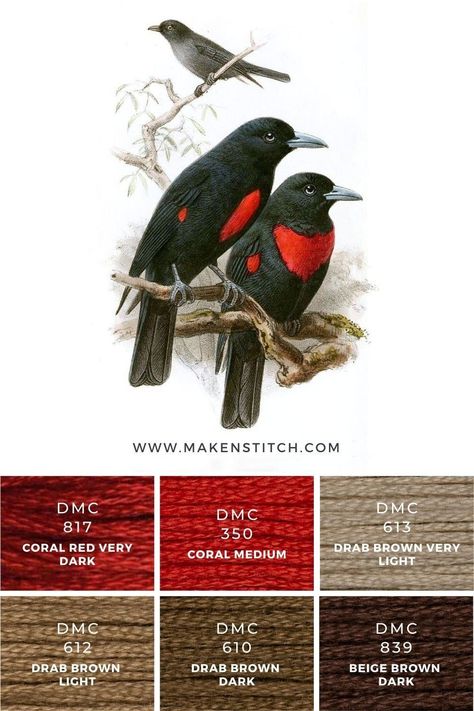 A brown color theme with a splash of red. Use the Red Birds stitch color palette and the DMC to Anchor embroidery thread conversion chart to create your own amazing patterns.