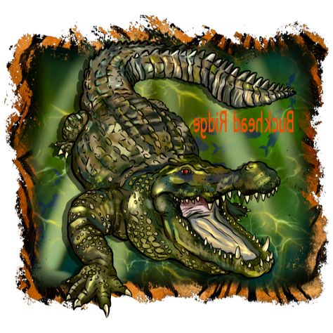 Alligator Background, Alligator Image, Tiger Background, Under The Water, Water Background, Tropical Rainforest, Background Png, Big Boy, Wood Burning