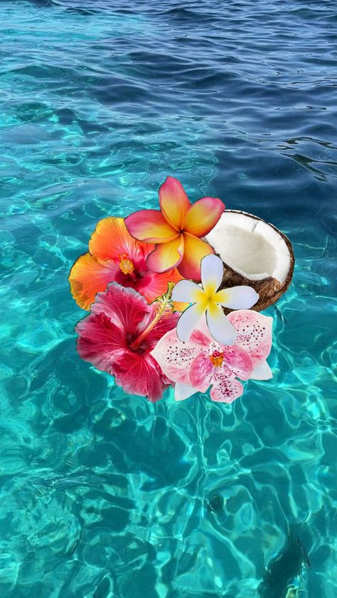 Tropical vibes #tropical #fyp #fypshuffle #ocean #october #vibes #cute Tropical Asthetic Photos, Tropicore Aesthetic, Beach Core, Tropical Core, Tropical Love, October Vibes, Tropical Aesthetic, Tropical Background, Tropical Summer