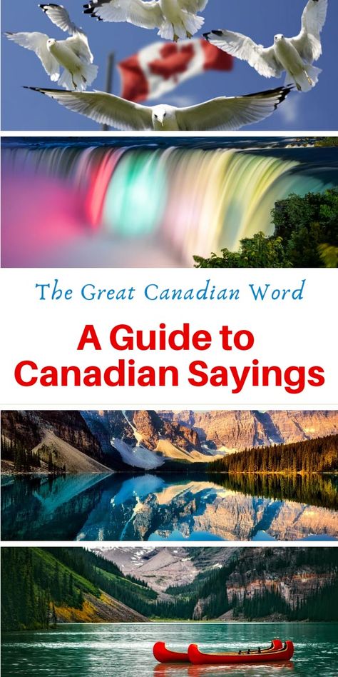 Canadian Sayings, Canadian Slang, Canadian Quotes, Unique Phrases, Canadian Humor, Sayings And Phrases, Slang Words, Canada Day, Catch Phrase