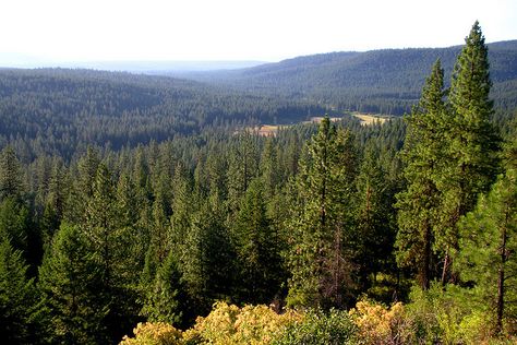 Indian Reservation | Spokane Indian Reservation | Flickr - Photo Sharing! Native Reservation, Class Discussion, Indian Reservation, American Indian Art, Native American Indians, American Indian, A Class, Indian Art, Native American