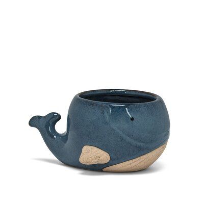 Add some personality to your favourite cactus or succulent with this delightful large whale planter. Crafted out of ceramic- this unique whale-shaped- waterproof planter combines unglazed elements with reactive-glazed accents for a stylish- artisanal look that's sure to complement any style of decor. | Longshore Tides Whale Planter blue/Brown/gray 2.0 x 2.0 x 2.0 in, Stone | C004628273_1871922972 | Wayfair Canada Whale Planter, Ceramic Whale, Clay Pinch Pots, Pottery Pinch Pot, Ceramic Pinch Pots, Largest Whale, Animal Planters, Pinch Pots, Pottery Crafts