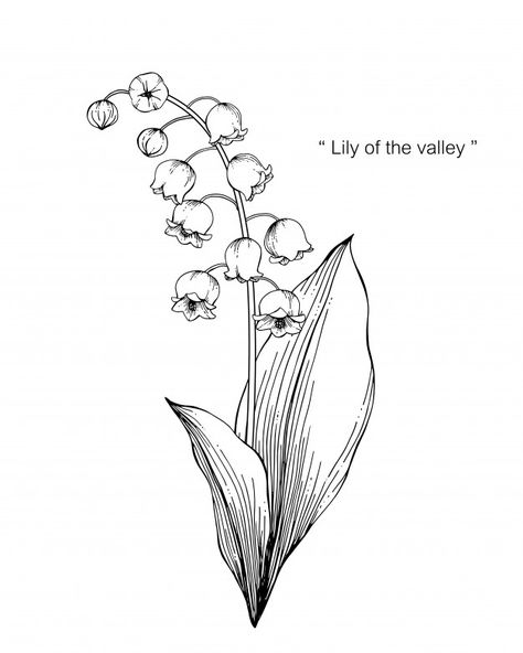 Drawing Lily Of The Valley, Lily Of The Valley Drawing, Valley Drawing, Tato Geometris, Lilies Drawing, Visuell Identitet, Flower Tattoo Drawings, Tattoo Me, Lily Of The Valley Flowers