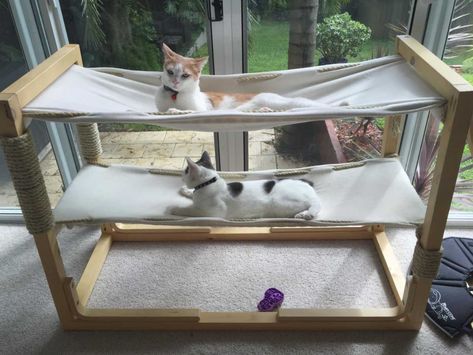 cat7 Bed Hammocks, Outdoor Cat House Diy, Cat Bunk Beds, Diy Cat Hammock, Diy Cat Food, Diy Cat Tree, Cat Tent, Cat House Diy, Outdoor Cat House