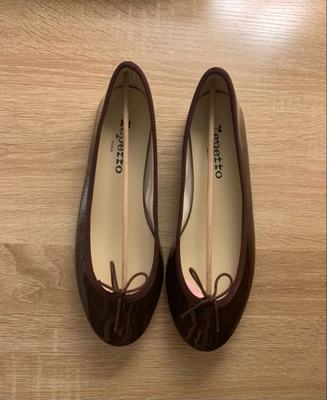 Cute Flat Shoes, Repetto Flats, Repetto Ballet Flats, Cute Flats, Brown Flats, June 22, Fall 2023, Ballerina Flats, Pretty Shoes