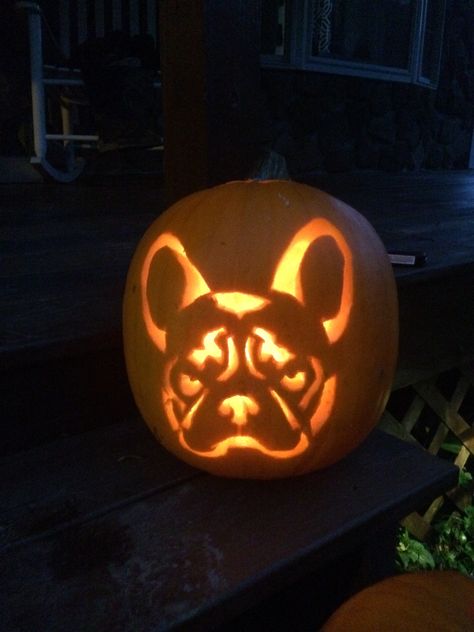 Pumpkin Carving French Bulldog, Pumpkin Carving Ideas French Bulldog, Cute Dog Pumpkin Carving Ideas, Dog Jackolantern Ideas, French Bulldog Pumpkin Carving, Frenchie Pumpkin Carving, Country Pumpkin Carving, Frenchie Pumpkin, French Bulldog Pumpkin