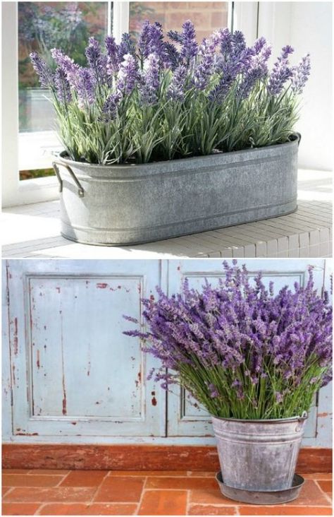 25 Creative DIY Spring Porch Decorating Ideas – It’s All About Repurposing! Spring Porch Decorating Ideas, Spring Porch Decorating, Plantarea Legumelor, Diy Porch Decor, Lavender Plants, Diy Frühling, Spring Porch Decor, Porch Decorating Ideas, Sloped Garden