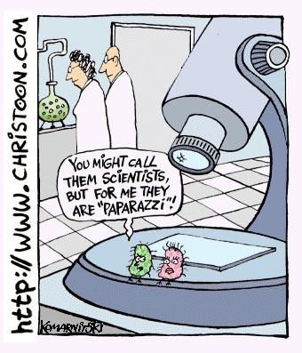 Teaching Cartoons | MYP @ Global Jaya International School Germs are fames so scients are paparazzi Microbiology Humor, Medische Humor, Biology Jokes, Biology Memes, Lab Humor, Science Cartoons, Biology Humor, Nerdy Jokes, Children Songs