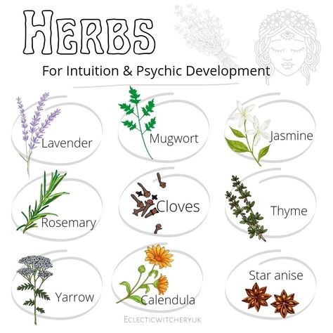 Eclecticwitcheryuk’s Instagram post: “Witchy Herbs 🍀 Psychic Development & Intuition 🔮 ✨ Add to burn bowls during moon meditation for psychic insight. ✨ Add to tea blends &…” Witchy Herbs, Moon Meditation, Herbal Witch, Witchy Garden, Witchcraft Herbs, Herbal Education, Psychic Intuition, Magickal Herbs, Wiccan Magic