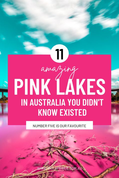 11 Pink Lakes In Australia Pink Salt Lake Australia, Lake Macdonnell, Lake Hillier Australia, Pink Lake Western Australia, Pink Lake Australia, Desert Biome, Australia Bucket List, Australian Desert, Pink Lake