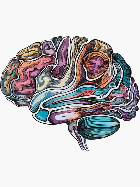 "Abstract Brain Art - Human Brain Anatomy Illustration" Sticker for Sale by WatermelonPink | Redbubble Human Brain Illustration, Brain Drawing Reference, Mind Art Brain Illustrations, Human Brain Drawing, Brain Artwork, Alex Tattoo, Human Brain Anatomy, Brain Painting, Neuroscience Art