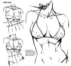 Character Anatomy | Breast on Pinterest | Character Design References, Character Design and How To Draw Manga Female Anatomy Reference, Female Drawing, Human Anatomy Drawing, Body Drawing Tutorial, Anatomy Sketches, Anatomy Poses, Body Reference Drawing, Body Anatomy, Female Anatomy