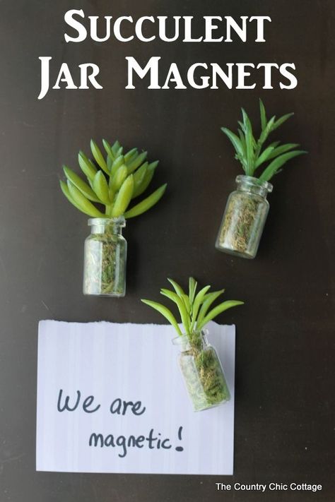 Succulent jar magnets -- make these in minutes and use on your fridge and more! Diy Magnets, Country Chic Cottage, Diy Holiday Gifts, Diy Kitchen Decor, Mini Succulents, Cactus Y Suculentas, Deco Floral, Succulents Diy, Decoration Christmas