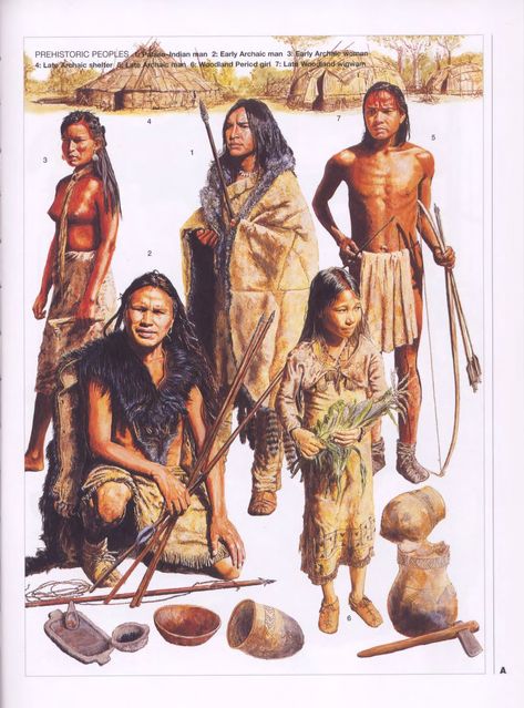 American Indian Artwork, Woodland Indians, Prehistoric Man, Native American Warrior, Native American Images, Early Humans, Ancient Technology, Indigenous Americans, Indian Tribes