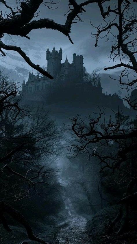 Goth Castle Aesthetic, Barovia Aesthetic, Masquerade Aesthetic Dark, Dark Castle Aesthetic, Mysterious Castle, Goth Castle, Dark Fairytale Aesthetic, Facts About Halloween, Gothic Landscape