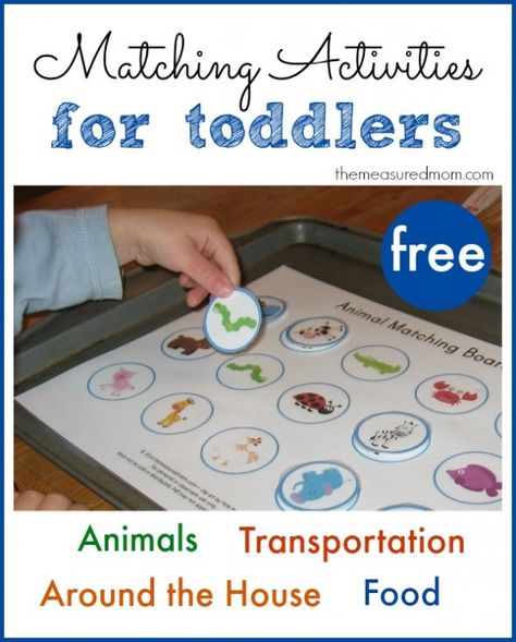 Printable Free Matching Activities for Toddlers, food, animals, transportation vehicles, around the house Matching Activities For Toddlers, Cookie Sheet Activities, Measured Mom, Matching Activities, Big Books, Free Printable Activities, Teaching Toddlers, Older Siblings, Folder Games